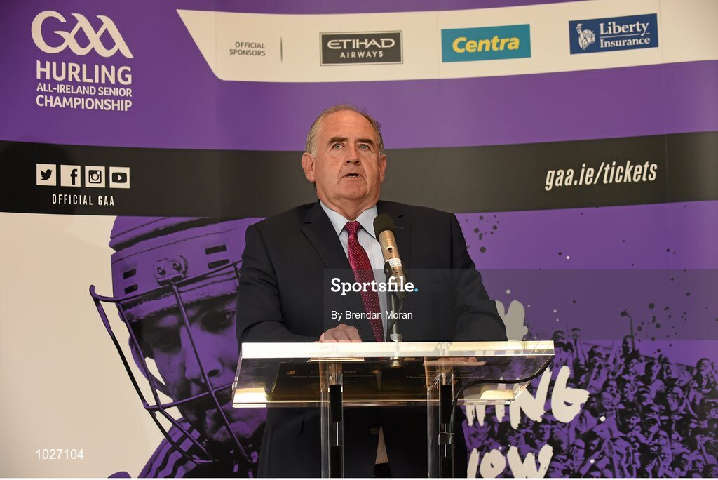 14 July 2015; In attendance at the launch of the GAA Hurling All-Ireland Senior Championship Series 2015 is Ned Quinn, Chairman, Kilkenny County Board. Dicksboro GAA Club, Kilkenny. Picture credit: Brendan Moran / SPORTSFILE