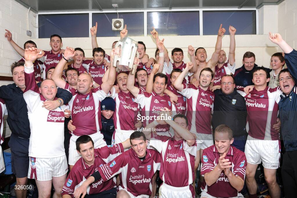 2 November 2008; St Martin's players celebrate with the cup. Wexford Senior Hurling Final, Oulart the Ballagh v St Martin's, Wexford Park, Wexford. Picture credit: Matt Browne / SPORTSFILE