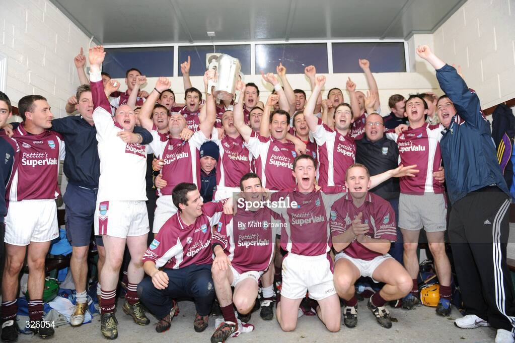 2 November 2008; St Martin's players celebrate with the cup. Wexford Senior Hurling Final, Oulart the Ballagh v St Martin's, Wexford Park, Wexford. Picture credit: Matt Browne / SPORTSFILE