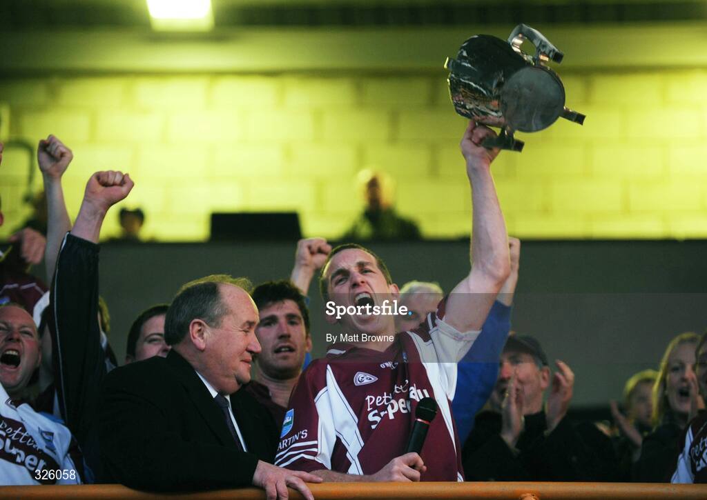 2 November 2008; St Martin's captain Daithi Hayes lifts the cup. Wexford Senior Hurling Final, Oulart the Ballagh v St Martin's, Wexford Park, Wexford. Picture credit: Matt Browne / SPORTSFILE