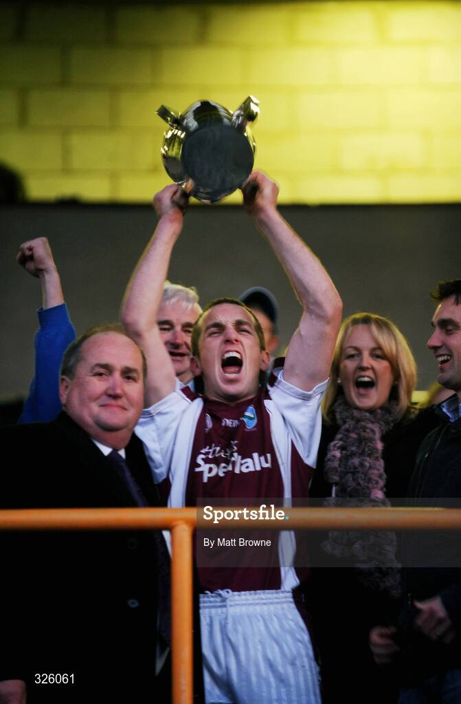 2 November 2008; St Martin's captain Daithi Hayes lifts the cup. Wexford Senior Hurling Final, Oulart the Ballagh v St Martin's, Wexford Park, Wexford. Picture credit: Matt Browne / SPORTSFILE