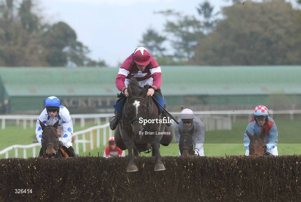 6 November 2008; War of Attrition, with Davy Russell up, clears the last 'second time around' on the way to winning the Thurles Steeplechase. Thurles Racecourse, Thurles, Co. Tipperary. Picture credit: Brian Lawless / SPORTSFILE