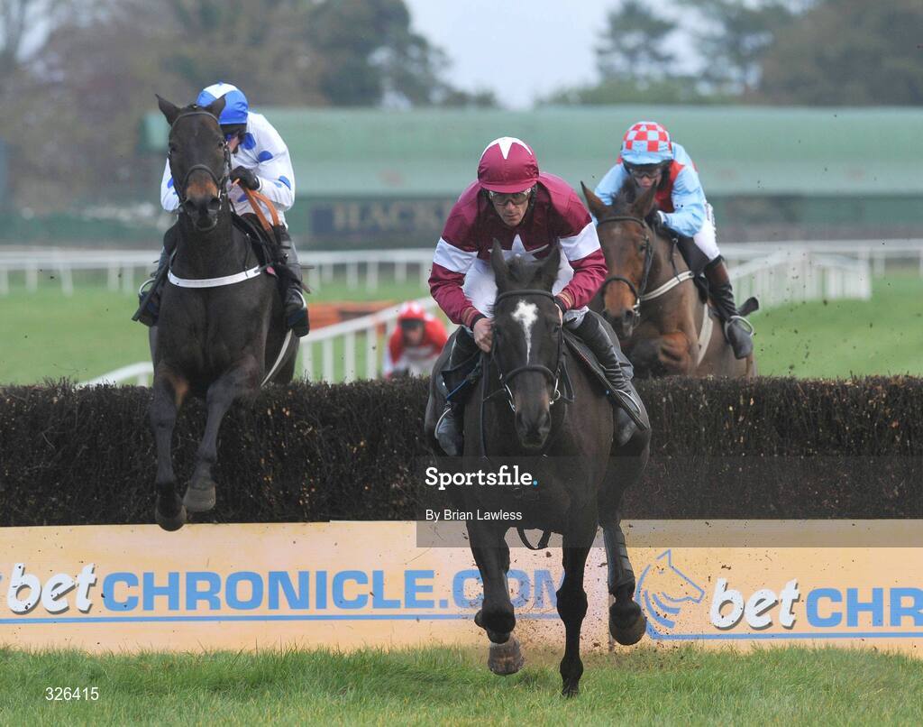 6 November 2008; War of Attrition, with Davy Russell up, on the way to winning the Thurles Steeplechase. Thurles Racecourse, Thurles, Co. Tipperary. Picture credit: Brian Lawless / SPORTSFILE