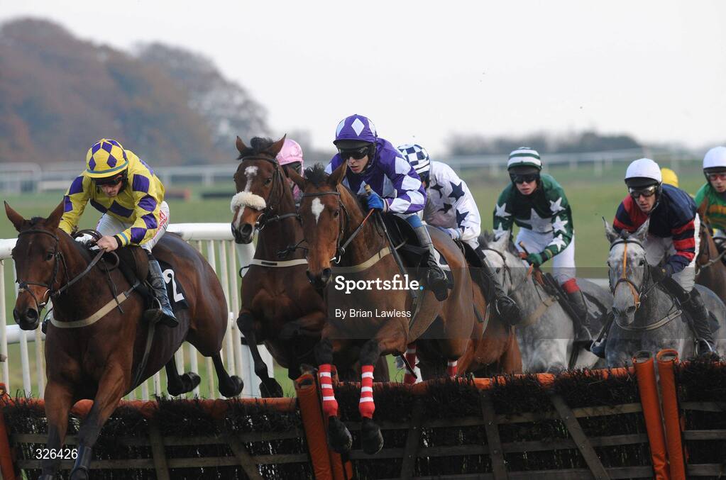 6 November 2008; Dunroe Lady, with Ian McCarthy up, centre, clears the last 'first time around' ahead of eventual 3rd Flirthing Around, Sean Flanagan up, left, on the way to winning the Templemore Mares Maiden Hurdle. Thurles Racecourse, Thurles, Co. Tipperary. Picture credit: Brian Lawless / SPORTSFILE