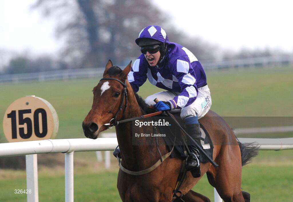 6 November 2008; Dunroe Lady, with Ian McCarthy up, on the way to winning the Templemore Mares Maiden Hurdle. Thurles Racecourse, Thurles, Co. Tipperary. Picture credit: Brian Lawless / SPORTSFILE