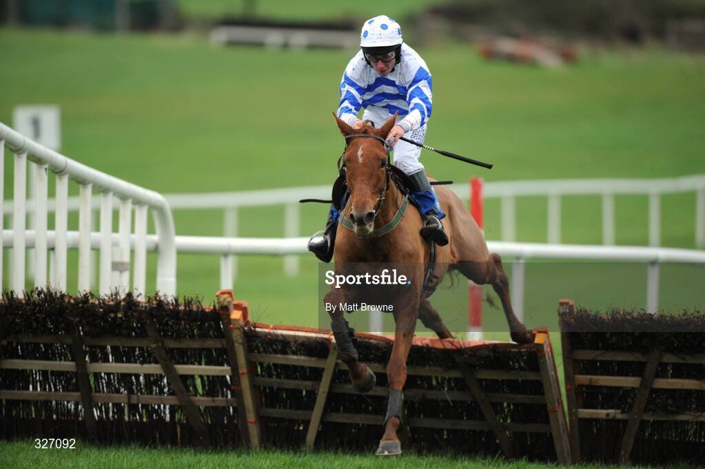 13 November 2008; By The Way, with Philip Enright up, jumps the last on the way to winning the Clonmel Oil Day Handicap Hurdle. Clonmel Racecourse, Clonmel, Co. Tipperary. Picture credit: Matt Browne / SPORTSFILE