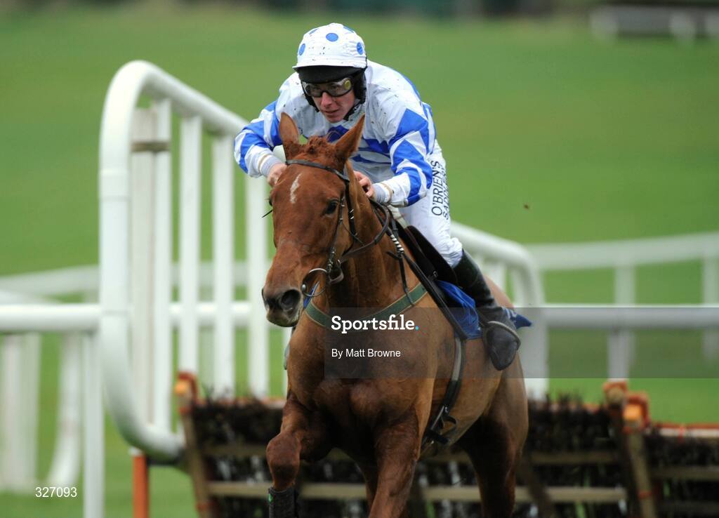 13 November 2008; By The Way, with Philip Enright up, after jumping the last on the way to winning the Clonmel Oil Day Handicap Hurdle. Clonmel Racecourse, Clonmel, Co. Tipperary. Picture credit: Matt Browne / SPORTSFILE