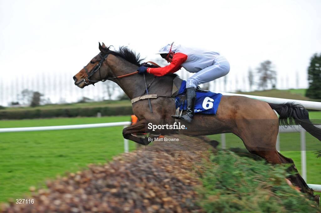 13 November 2008; Bohemian Lass, with John Cullen up, jumps the last on the way to winning the Europrean Breeders Fund TA Morris Memorial Mares Steeplechase. Clonmel racecourse, Clonmel, Co. Tipperary. Picture credit: Matt Browne / SPORTSFILE
