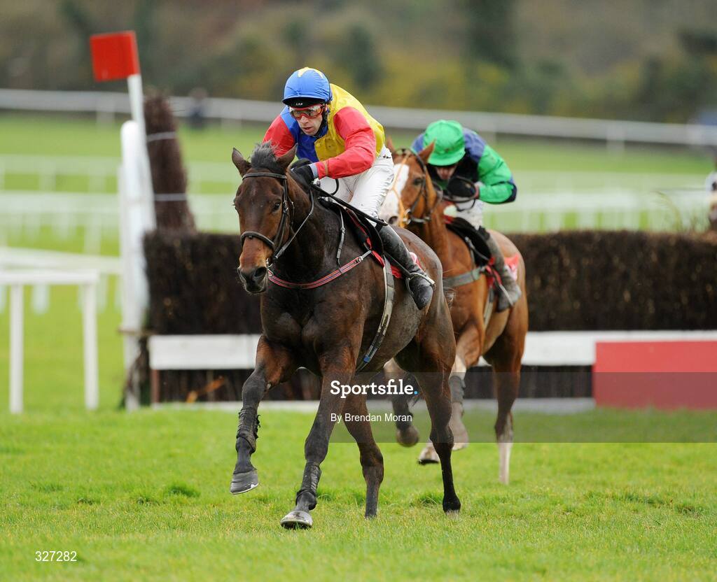 15 November 2008; Trafford Lad, with Tom Doyle up, leads eventual second Window of Hope, with Paddy Flood up, on their way to winning the A Space Cabins Florida Pearl Novice Steeplechase of €36,000. Horse Racing, Punchestown Racecourse, Co. Kildare. Picture credit: Brendan Moran / SPORTSFILE