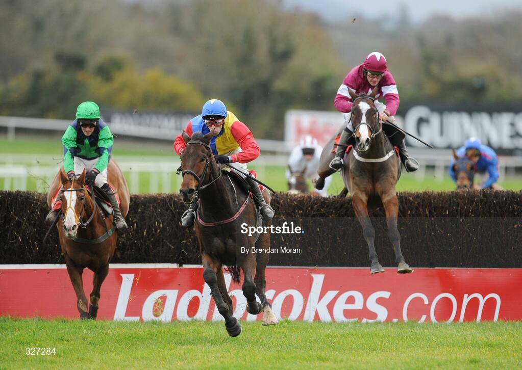 15 November 2008; Trafford Lad, centre, with Tom Doyle up, races clear of eventual second Window of Hope, left, with Paddy Flood up, and eventual third Siegemaster, with David Russell up, on their way to winning the A Space Cabins Florida Pearl Novice Steeplechase of €36,000. Horse Racing, Punchestown Racecourse, Co. Kildare. Picture credit: Brendan Moran / SPORTSFILE