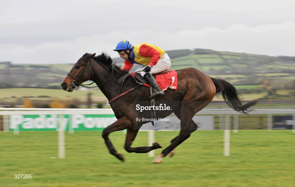 15 November 2008; Trafford Lad, with Tom Doyle up, race clear of the field on their way to winning the A Space Cabins Florida Pearl Novice Steeplechase of €36,000. Horse Racing, Punchestown Racecourse, Co. Kildare. Picture credit: Brendan Moran / SPORTSFILE