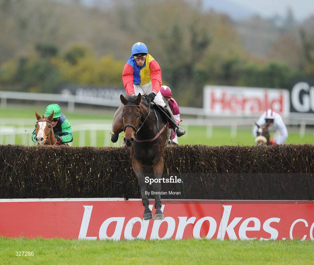 15 November 2008; Trafford Lad, with Tom Doyle up, clear the last on their way to winning the A Space Cabins Florida Pearl Novice Steeplechase of €36,000. Horse Racing, Punchestown Racecourse, Co. Kildare. Picture credit: Brendan Moran / SPORTSFILE