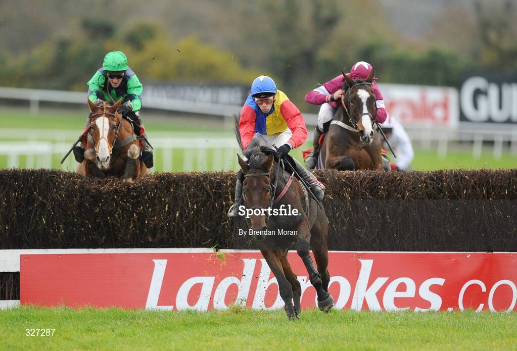 15 November 2008; Trafford Lad, centre, with Tom Doyle up, races clear of eventual second Window of Hope, left, with Paddy Flood up, and eventual third Siegemaster, with David Russell up, on their way to winning the A Space Cabins Florida Pearl Novice Steeplechase of €36,000. Horse Racing, Punchestown Racecourse, Co. Kildare. Picture credit: Brendan Moran / SPORTSFILE