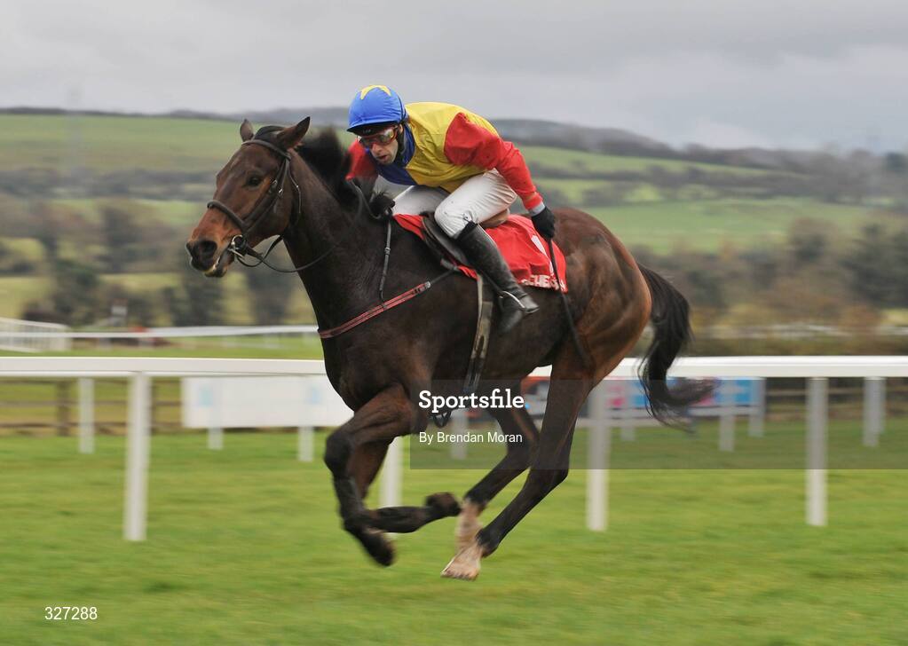 15 November 2008; Trafford Lad, with Tom Doyle up, race clear of the field on their way to winning the A Space Cabins Florida Pearl Novice Steeplechase of €36,000. Horse Racing, Punchestown Racecourse, Co. Kildare. Picture credit: Brendan Moran / SPORTSFILE