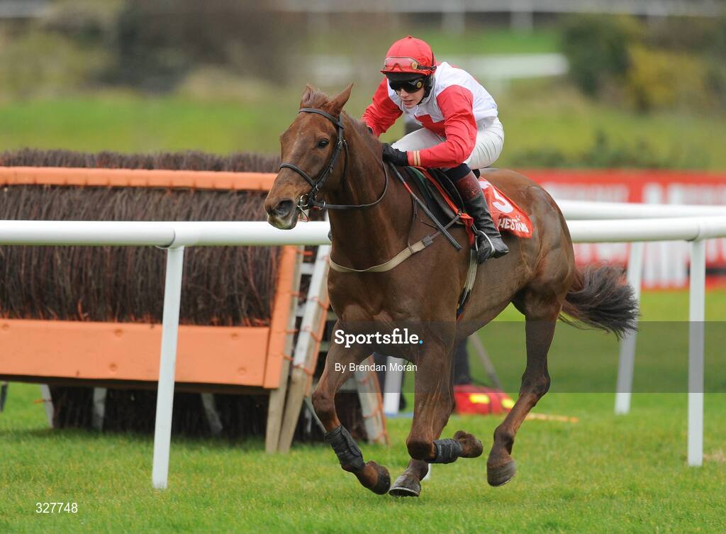 15 November 2008; Freds Benefit, with Paul Townend up, on their way to winning the Pat Neville & Sons LTD Hurdle of €16,000. Horse Racing, Punchestown Racecourse, Co. Kildare. Picture credit: Brendan Moran / SPORTSFILE
