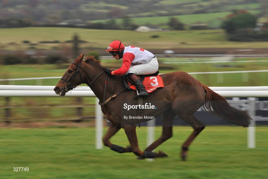 15 November 2008; Freds Benefit, with Paul Townend up, on their way to winning the Pat Neville & Sons LTD Hurdle of €16,000. Horse Racing, Punchestown Racecourse, Co. Kildare. Picture credit: Brendan Moran / SPORTSFILE
