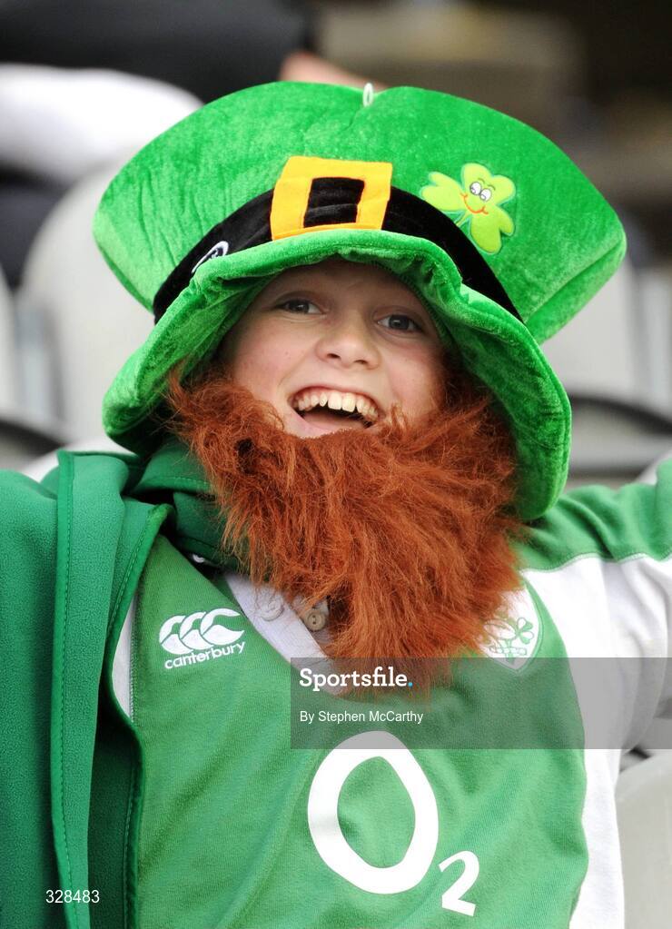 22 November 2008; Ireland supporter Seamus Downes, age 12, from Milltown-Malbay, Co. Clare, ahead of the game. Guinness Autumn Internationals, Ireland v Argentina, Croke Park, Dublin. Picture credit: Stephen McCarthy / SPORTSFILE