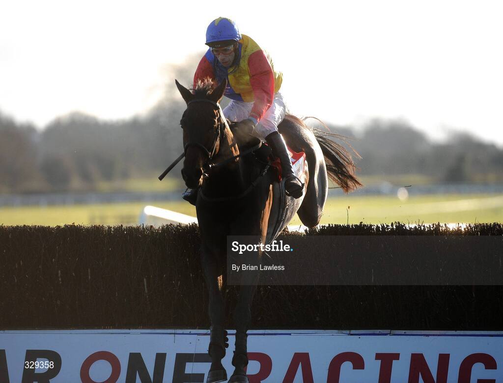 30 November 2008; Trafford Lad, with Tom Doyle up, clears the last on the way to winning the Bar One Racing Drinmore Novice Steeplechase of €90,000. Fairyhouse Winter Festival 2008, Fairyhouse Racecourse, Co. Meath. Picture credit: Brian Lawless / SPORTSFILE