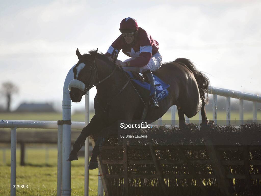 30 November 2008; Tharawaat, with Davy Russell up, clears the last, on the way to winning the Irish Rover Bar New York Juvenile 3-Y-O. Fairyhouse Winter Festival 2008, Fairyhouse Racecourse, Co. Meath. Picture credit: Brian Lawless / SPORTSFILE