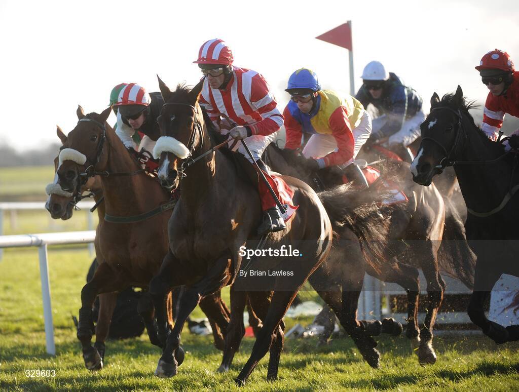 30 November 2008; Forpadydeplasterer leads the field during the Bar One Racing Drinmore Novice Steeplechase. Fairyhouse Winter Festival 2008, Fairyhouse Racecourse, Co. Meath. Picture credit: Brian Lawless / SPORTSFILE
