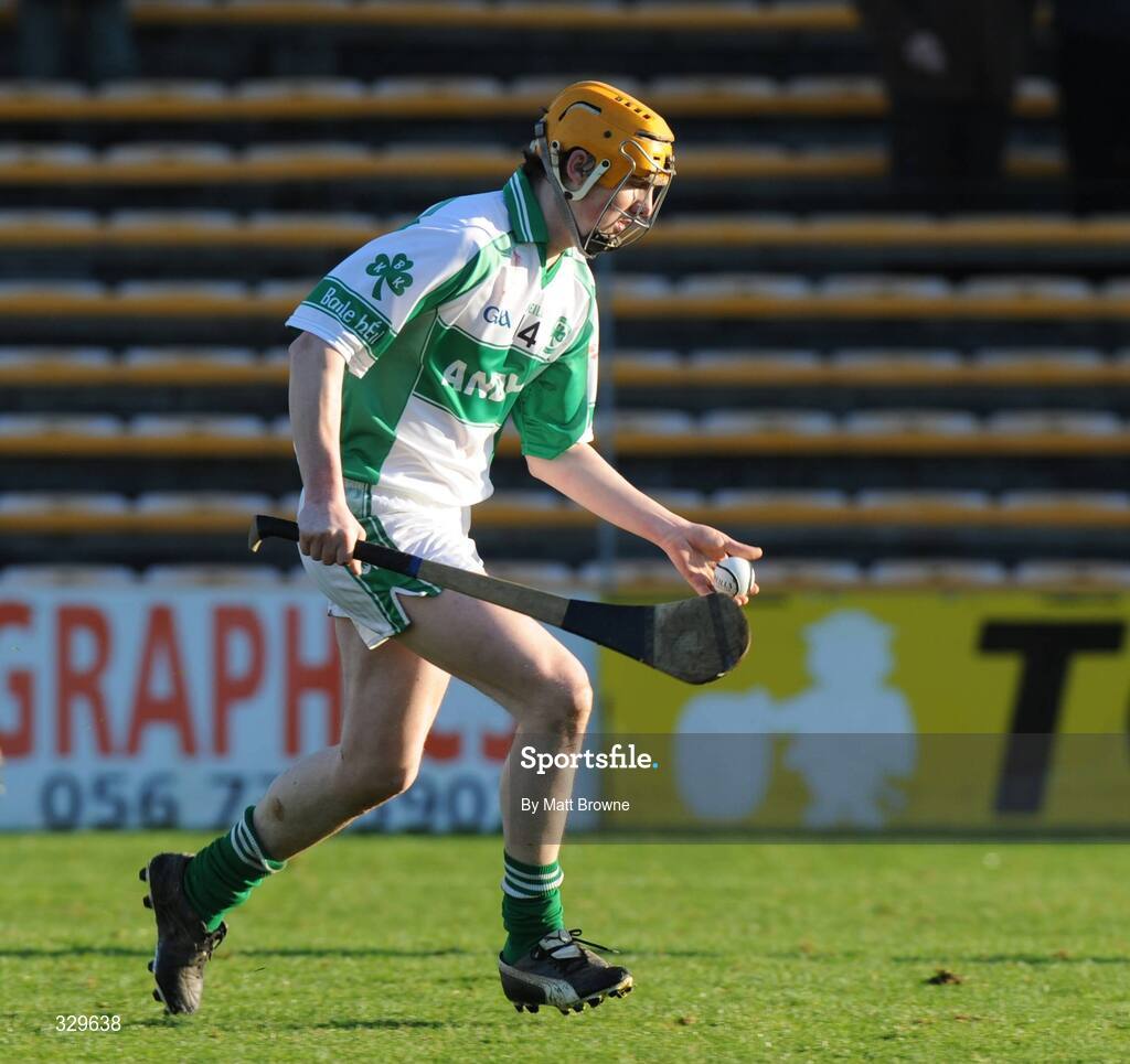 30 November 2008; Eoin Reid, Ballyhale Shamrocks. AIB Leinster Senior Club Hurling Championship Final, Ballyhale Shamrocks v Birr, Nowlan Park, Kilkenny. Picture credit: Matt Browne / SPORTSFILE