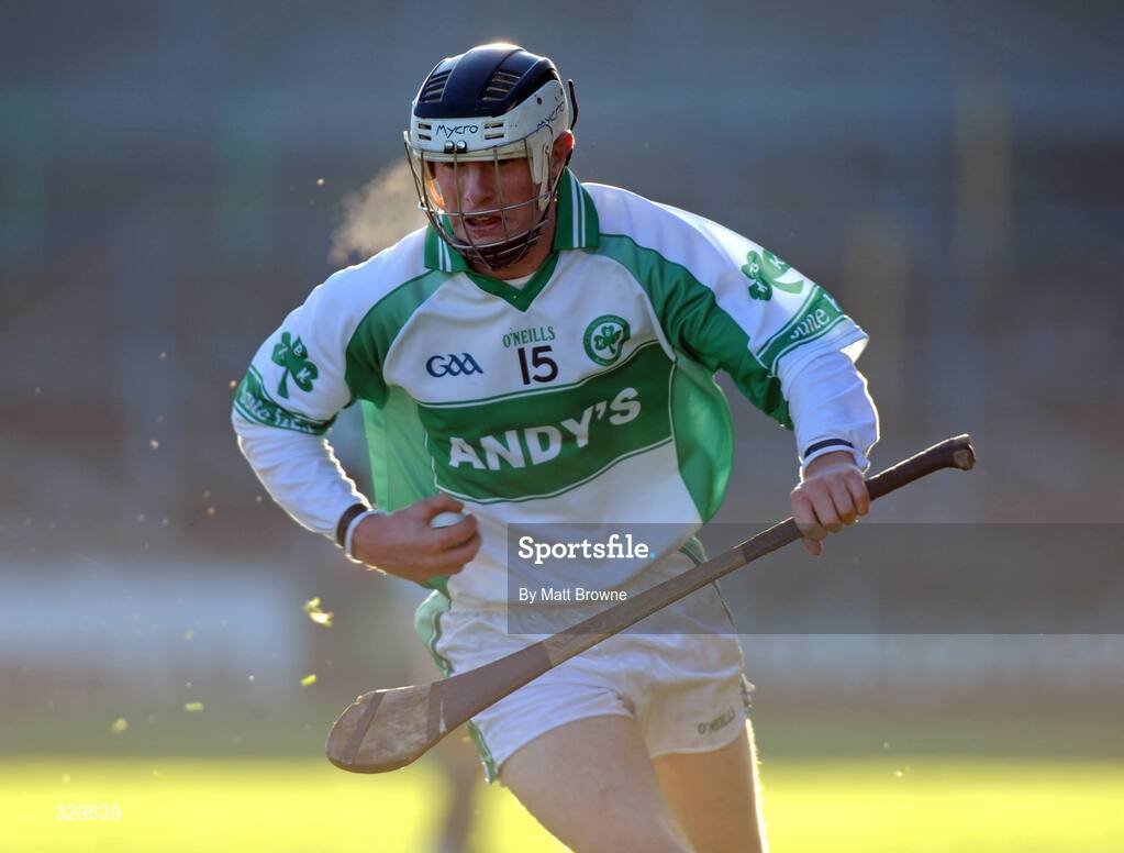 30 November 2008; Mark Aylward, Ballyhale Shamrocks. AIB Leinster Senior Club Hurling Championship Final, Ballyhale Shamrocks v Birr, Nowlan Park, Kilkenny. Picture credit: Matt Browne / SPORTSFILE