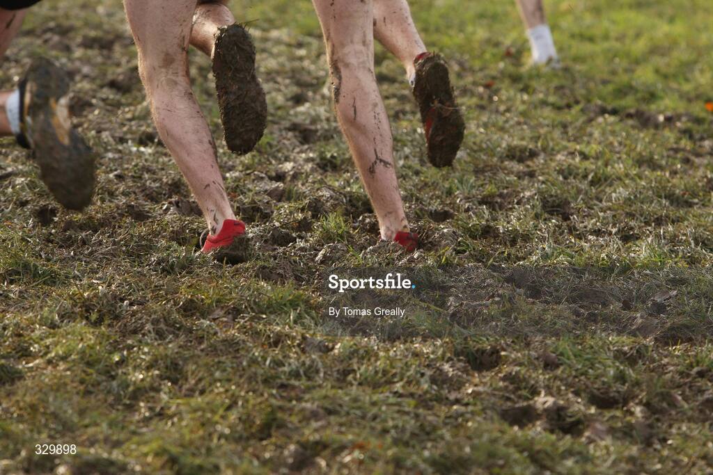7 December 2008; A general view of conditions during the Woodie’s DIY Novice and Uneven Ages Championships. Ballyhaise, Co Cavan. Picture credit: Tomas Greally / SPORTSFILE