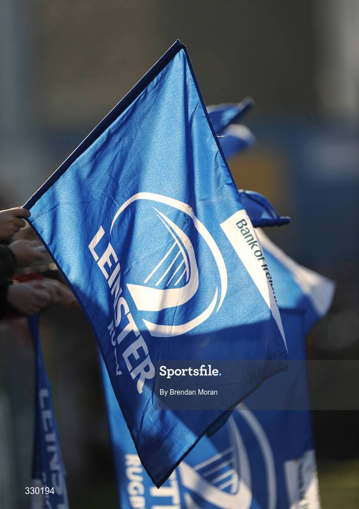 6 December 2008; A Leinster supporter holds a flag. Heineken Cup, Pool 2, Round 3, Leinster v Castres Olympique, RDS, Dublin. Picture credit: Brendan Moran / SPORTSFILE
