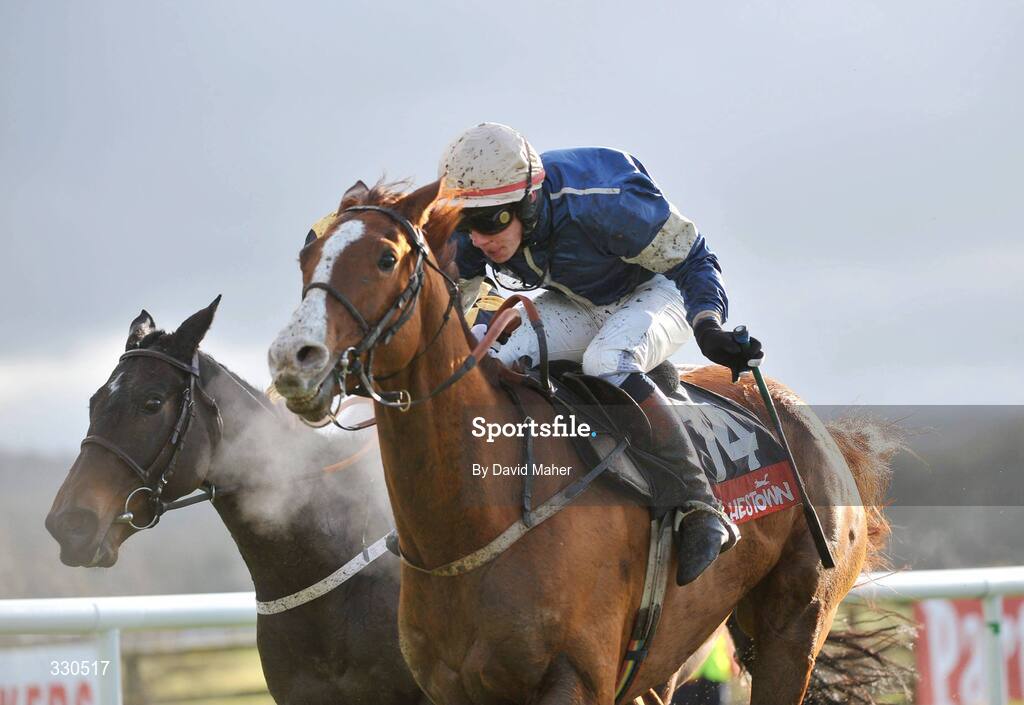 9 December 2008; Persian City, with Paul Townend up, on their way to winning the Oyster Group Maiden hurdle. Punchestown Racecouse, Naas, Co. Kildare. Picture credit: David Maher / SPORTSFILE