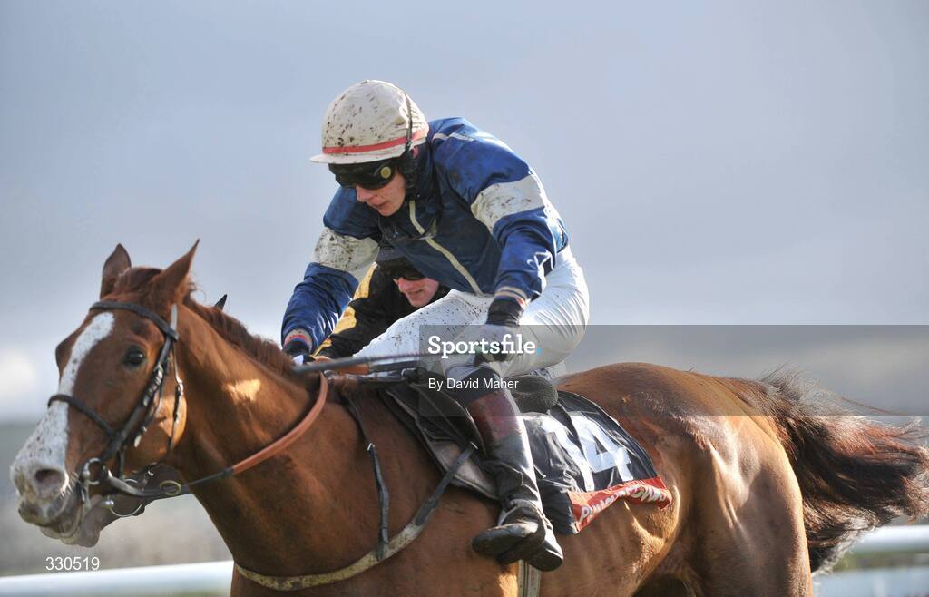 9 December 2008; Persian City, with Paul Townend up, on their way to winning the Oyster Group Maiden hurdle. Punchestown Racecouse, Naas, Co. Kildare. Picture credit: David Maher / SPORTSFILE