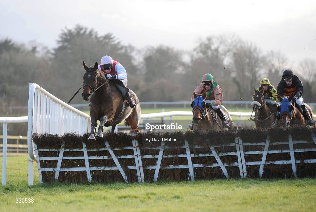 9 December 2008; Imaalhall, with Francis Flood up, clears the last on their way to winning the Kimpton Vale Hurdle. Punchestown Racecouse, Naas, Co. Kildare. Picture credit: David Maher / SPORTSFILE