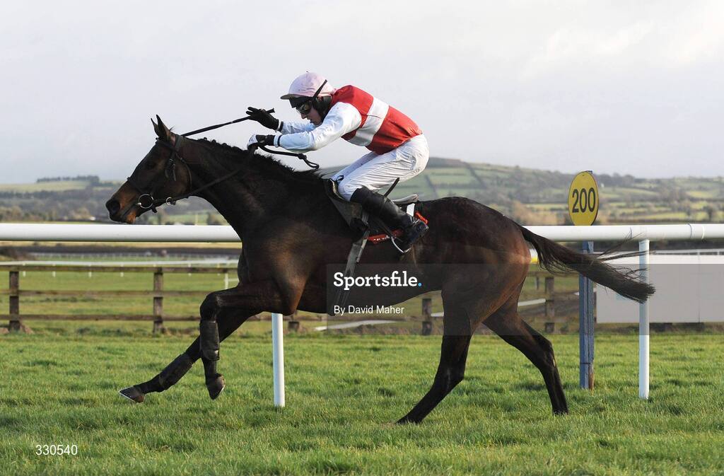 9 December 2008; Imaalhall, with Francis Flood up, on their way to winning the Kimpton Vale Hurdle. Punchestown Racecouse, Naas, Co. Kildare. Picture credit: David Maher / SPORTSFILE