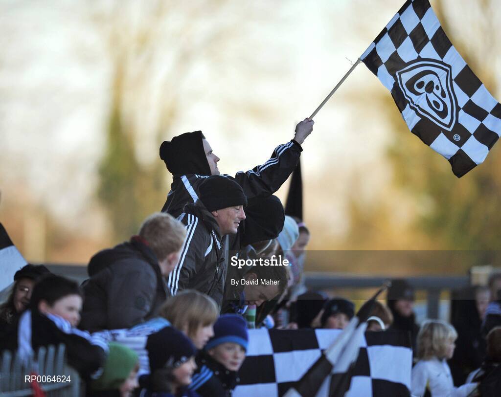 30 November 2008; Emyvale supporters during the game. VHI Healthcare All-Ireland Ladies Intermediate Club Football Championship Final, Emyvale, Monaghan, v Ballingeary Inchigeela, Cork, St Rynagh's, Banagher, Co. Offaly. Picture credit: David Maher / SPORTSFILE