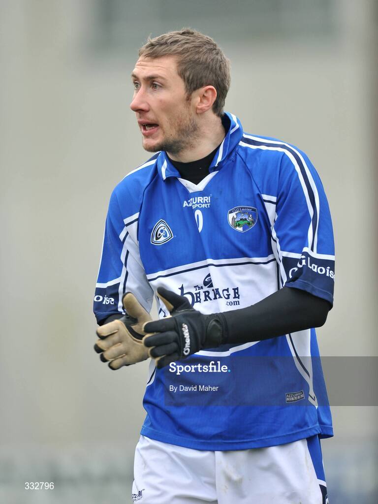 4 January 2009; Billy Sheehan, Laois. O'Byrne Cup, First Round, Laois v DCU, McCann Park, Portarlington, Co. Laois. Picture credit: David Maher / SPORTSFILE