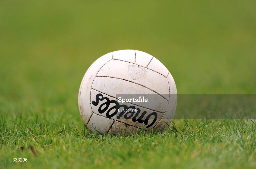 10 January 2009; A general view of a football. FBD League Round 2, Galway v Leitrim, Duggan Park, Ballinasloe, Co. Galway. Photo by Sportsfile