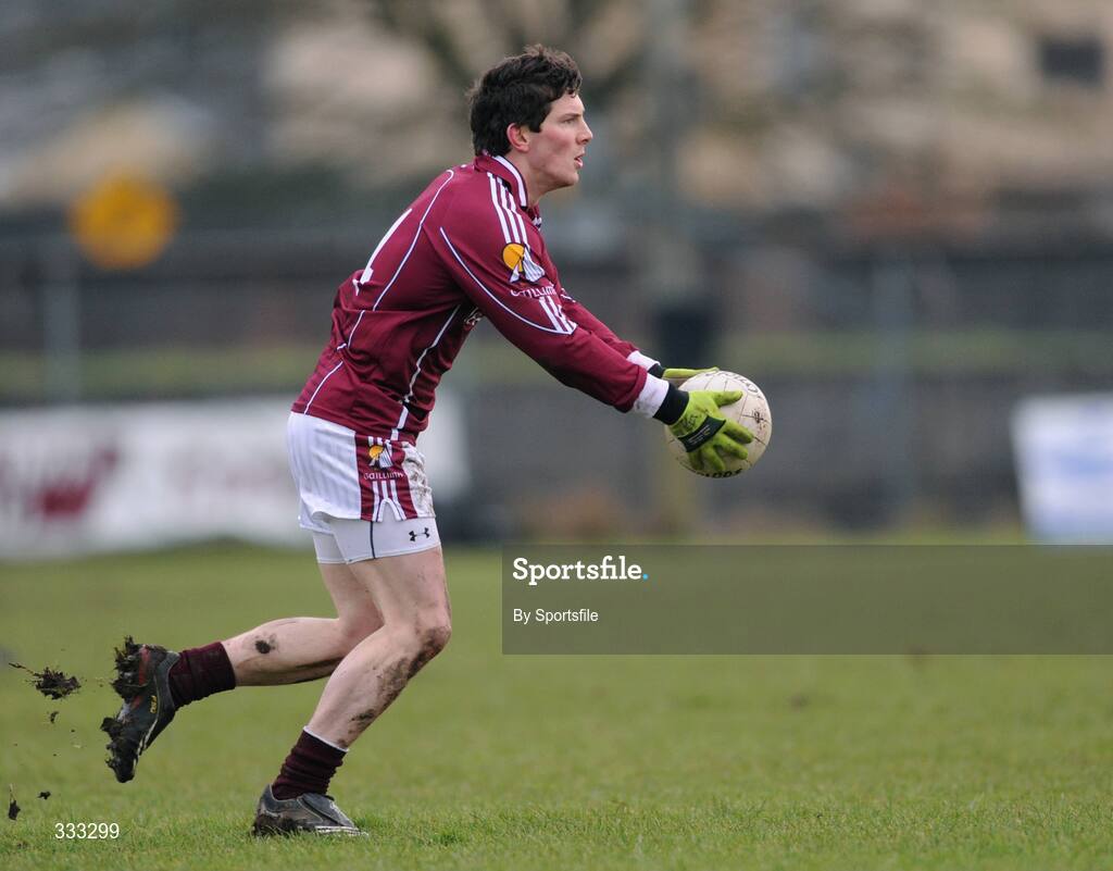 10 January 2009; Michael Meehan, Galway. FBD League Round 2, Galway v Leitrim, Duggan Park, Ballinasloe, Co. Galway. Photo by Sportsfile