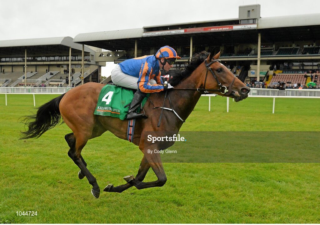 23 August 2015; Found, with Seamie Heffernan up, cross the finish line to win the Kilfrush Stud Royal Whip Stakes. Horse Racing from the Curragh. Curragh, Co. Kildare. Picture credit: Cody Glenn / SPORTSFILE
