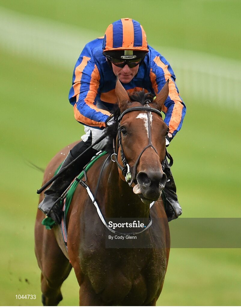 23 August 2015; Found, with Seamie Heffernan up, on their way to winning the Kilfrush Stud Royal Whip Stakes. Horse Racing from the Curragh. Curragh, Co. Kildare. Picture credit: Cody Glenn / SPORTSFILE