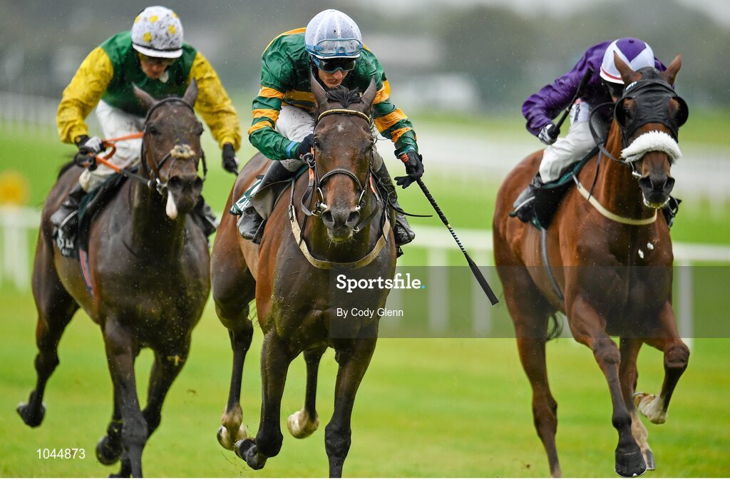 23 August 2015; Western Boy, centre, with Fran Berry up, on their way to winning the Killashee Handicap. Horse Racing from the Curragh. Curragh, Co. Kildare. Picture credit: Cody Glenn / SPORTSFILE