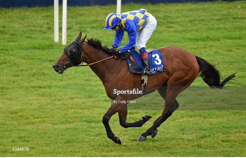 23 August 2015; An Saighdiur, with Declan McDonogh up, cross the finish line to win the Sycamore Lodge Equine Hospital Handicap. Horse Racing from the Curragh. Curragh, Co. Kildare. Picture credit: Cody Glenn / SPORTSFILE