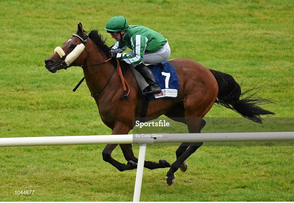 23 August 2015; Aye Aye Skipper, with Gary Carroll up, on their way to winning the Mongey Communications Handicap. Horse Racing from the Curragh. Curragh, Co. Kildare. Picture credit: Cody Glenn / SPORTSFILE