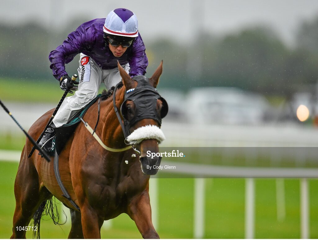 23 August 2015; Grecian Tiger, with Leigh Roche up, finished second in the Killashee Handicap. Horse Racing from the Curragh. Curragh, Co. Kildare. Picture credit: Cody Glenn / SPORTSFILE