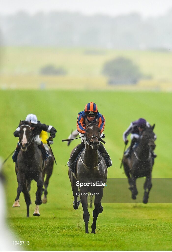 23 August 2015; Order of St. George, with Seamie Heffernan up, on their way to winning the Palmerstown House Estate Irish St Leger Trial Stakes. Horse Racing from the Curragh. Curragh, Co. Kildare. Picture credit: Cody Glenn / SPORTSFILE