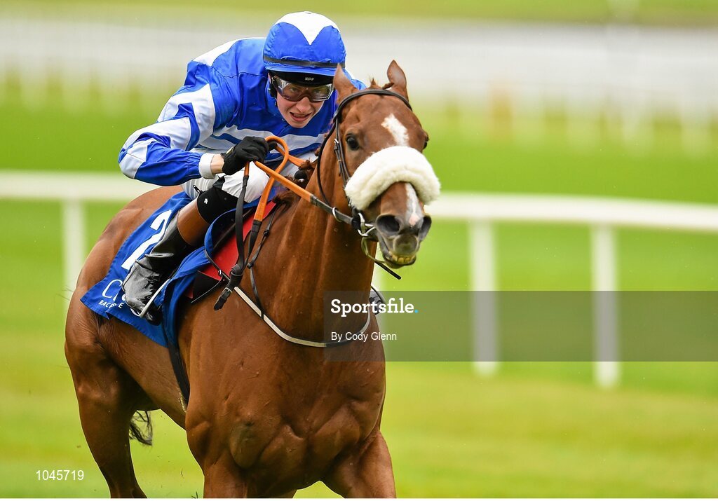 23 August 2015; Chillie Billie, with Ross Coakley up, finished second in the Luke & Nellie Comer Apprentice Handicap. Horse Racing from the Curragh. Curragh, Co. Kildare. Picture credit: Cody Glenn / SPORTSFILE