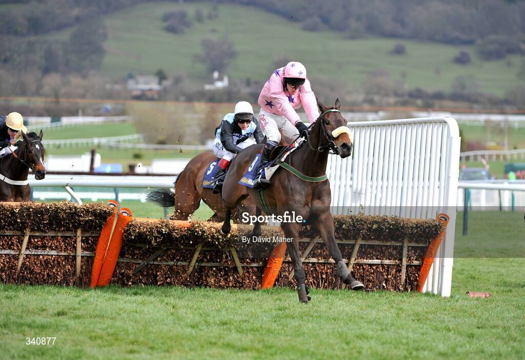 10 March 2009; Go Native, with Paul Carberry up, clears the last on their way to winning the williamhill.com Supreme Novices' Hurdle. Cheltenham Racing Festival - Tuesday, Prestbury Park, Cheltenham, Gloucestershire, England. Picture credit: David Maher / SPORTSFILE