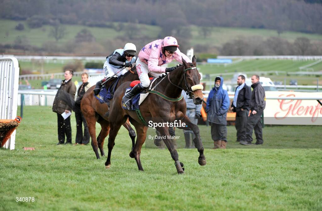 10 March 2009; Go Native, with Paul Carberry up, on their way to winning the williamhill.com Supreme Novices' Hurdle. Cheltenham Racing Festival - Tuesday, Prestbury Park, Cheltenham, Gloucestershire, England. Picture credit: David Maher / SPORTSFILE