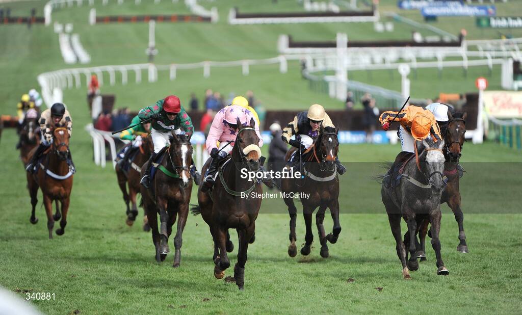 10 March 2009; Go Native, with Paul Carberry up, pink silks, on their way to winning the the williamhill.com Supreme Novices' Hurdle, from eventual second Medermit, with Robert Thornton up, right. Cheltenham Racing Festival - Tuesday, Prestbury Park, Cheltenham, Gloucestershire, England. Picture credit: Stephen McCarthy / SPORTSFILE