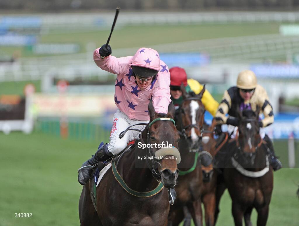 10 March 2009; Go Native, with Paul Carberry up, on their way to winning the the williamhill.com Supreme Novices' Hurdle. Cheltenham Racing Festival - Tuesday, Prestbury Park, Cheltenham, Gloucestershire, England. Picture credit: Stephen McCarthy / SPORTSFILE