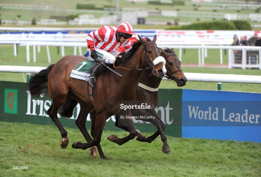 10 March 2009; Forpadydeplasterer, with Barry Geraghty up, left, on their way to winning the Irish Independent Arkle Challenge Trophy Chase from eventual second Kalahari King, with Graham Lee up. Cheltenham Racing Festival, Prestbury Park, Cheltenham, Gloucestershire, England. Picture credit: Stephen McCarthy / SPORTSFILE