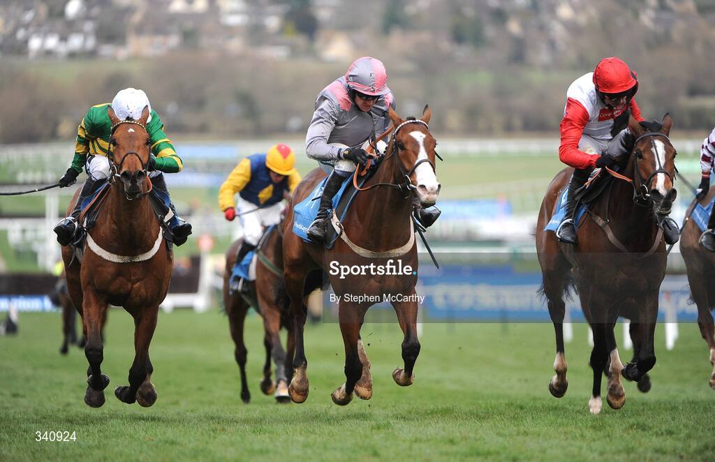 10 March 2009; Punjabi, with Barry Geraghty up, centre, on their way to winning the Smurfit Kappa Champion Hurdle from eventual second Celestial Halo, with Ruby Walsh up, right, and eventual third Binocular, with Tony McCoy up. Cheltenham Racing Festival, Prestbury Park, Cheltenham, Gloucestershire, England. Picture credit: Stephen McCarthy / SPORTSFILE